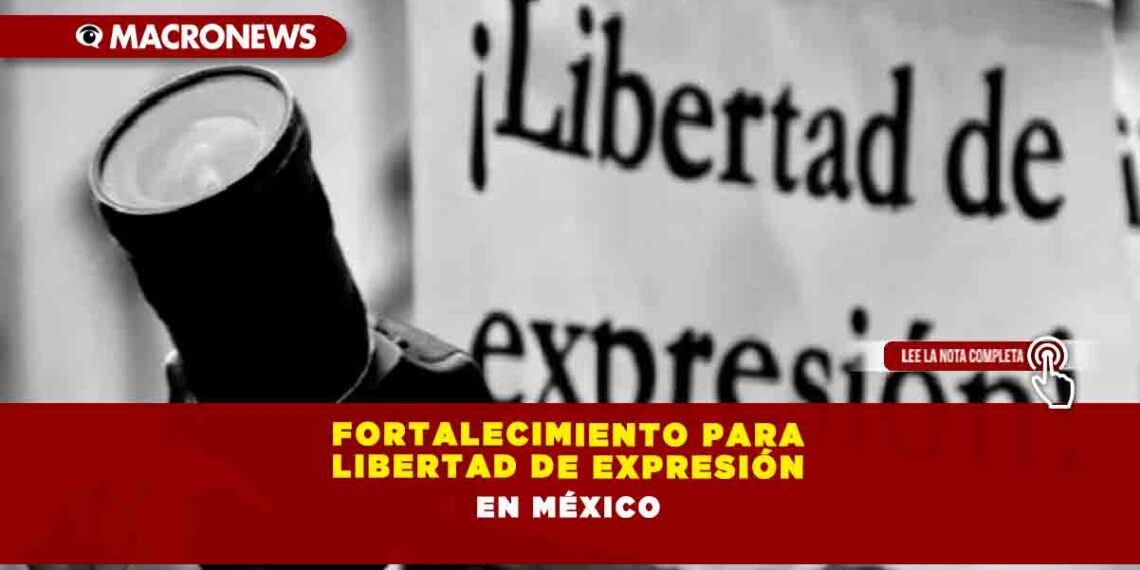 Fortalecimiento Para Libertad De Expresi N En M Xico Macronews