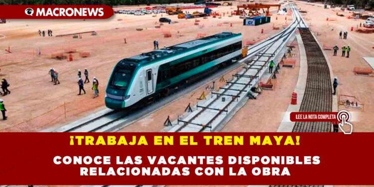 Trabaja En El Tren Maya Conoce Las Vacantes Disponibles Relacionadas