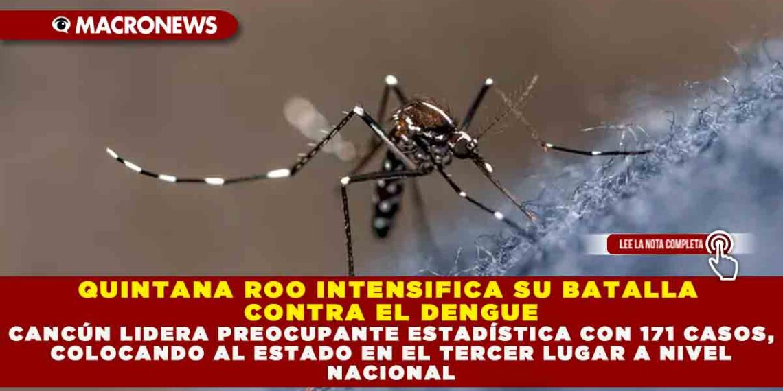 Quintana Roo Intensifica Su Batalla Contra El Dengue Canc N Lidera