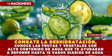 COMBATE LA DESHIDRATACIÓN, CONOCE LAS FRUTAS Y VEGETALES CON ALTO CONTENIDO DE AGUA QUE TE AYUDARAN A REPONER HASTA 15 VASOS DIARIOS DE AGUA