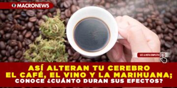 ASÍ ALTERAN TU CEREBRO EL CAFÉ, EL VINO Y LA MARIHUANA; CONOCE ¿CUÁNTO DURAN SUS EFECTOS?