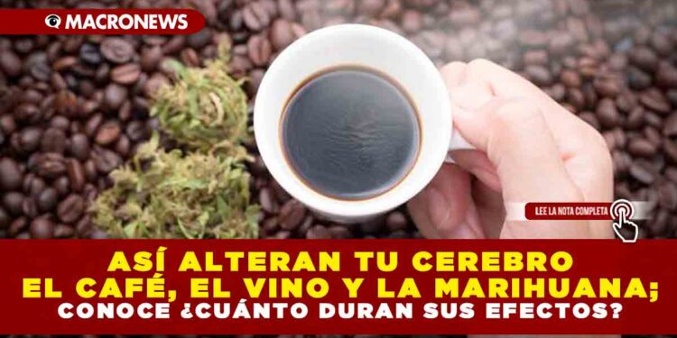 ASÍ ALTERAN TU CEREBRO EL CAFÉ, EL VINO Y LA MARIHUANA; CONOCE ¿CUÁNTO DURAN SUS EFECTOS?