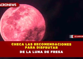 Checa las recomendaciones para disfrutar de la Luna de Fresa