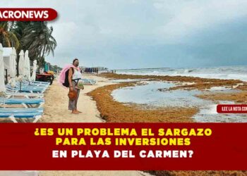 ¿Es un problema el Sargazo para las inversiones en Playa del Carmen?