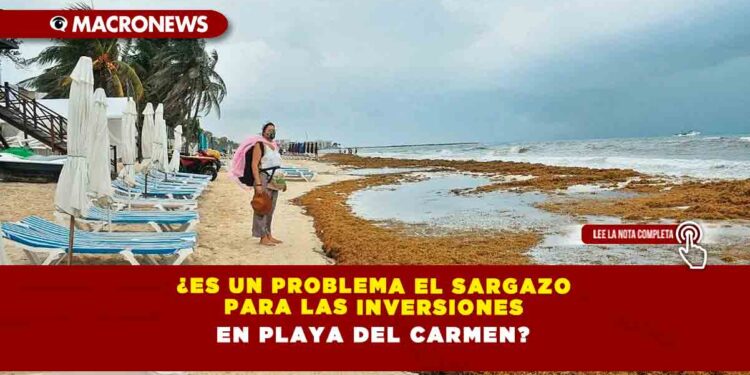 ¿Es un problema el Sargazo para las inversiones en Playa del Carmen?