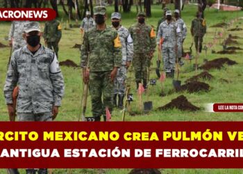 Ejército Mexicano crea pulmón verde en antigua estación de ferrocarriles