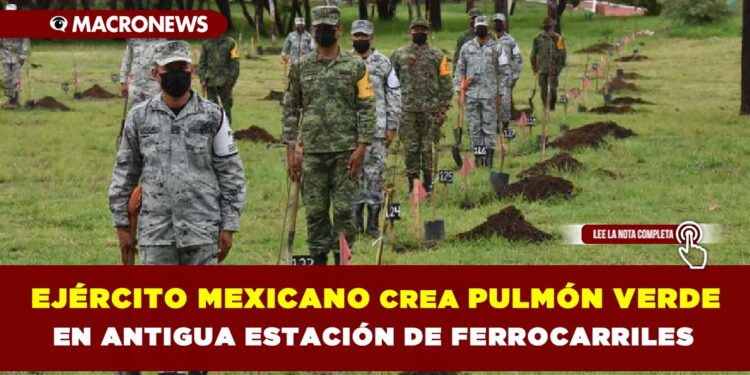 Ejército Mexicano crea pulmón verde en antigua estación de ferrocarriles