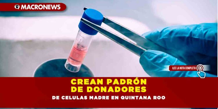 CREAN PADRÓN DE DONADORES DE CELULAS MADRE EN QUINTANA ROO