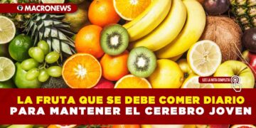 La fruta que se debe comer diario para mantener el cerebro joven
