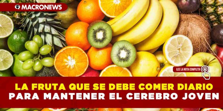 La fruta que se debe comer diario para mantener el cerebro joven