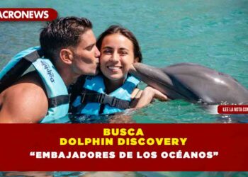 BUSCA DOLPHIN DISCOVERY “EMBAJADORES DE LOS OCÉANOS”