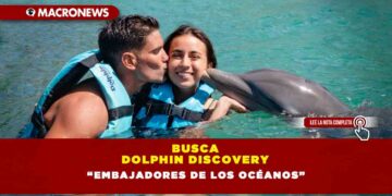 BUSCA DOLPHIN DISCOVERY “EMBAJADORES DE LOS OCÉANOS”