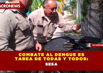 Combate al dengue es tarea de todas y todos: SESA