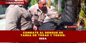 Combate al dengue es tarea de todas y todos: SESA