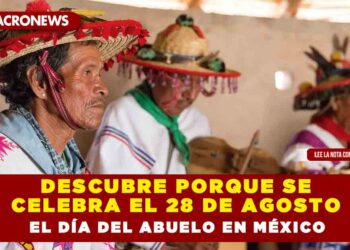 Descubre porque se celebra el 28 de Agosto el Día del Abuelo en México