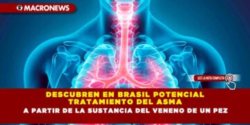 Descubren en Brasil potencial tratamiento del Asma a partir de la sustancia del veneno de un pez
