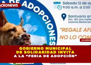Gobierno municipal de Solidaridad invita a la “Feria de Adopción”
