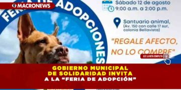 Gobierno municipal de Solidaridad invita a la “Feria de Adopción”
