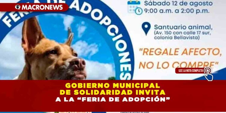 Gobierno municipal de Solidaridad invita a la “Feria de Adopción”