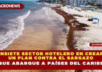 INSISTE SECTOR HOTELERO EN CREAR UN PLAN CONTRA EL SARGAZO QUE ABARQUE A PAÍSES DEL CARIBE