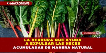 La verdura que ayuda a expulsar las heces acumuladas de manera natural