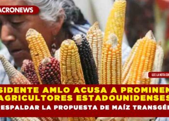 Presidente AMLO acusa a prominentes agricultores estadounidenses de respaldar la propuesta de maíz transgénico