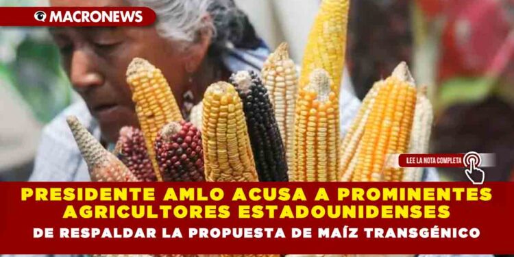 Presidente AMLO acusa a prominentes agricultores estadounidenses de respaldar la propuesta de maíz transgénico