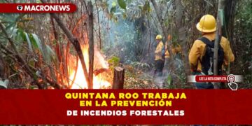 Quintana Roo trabaja en la prevención de incendios forestales