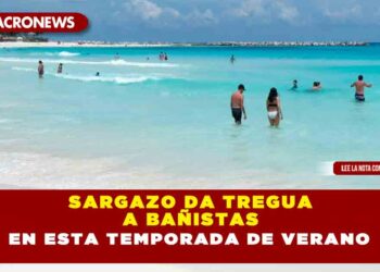 SARGAZO DA TREGUA A BAÑISTAS EN ESTA TEMPORADA DE VERANO