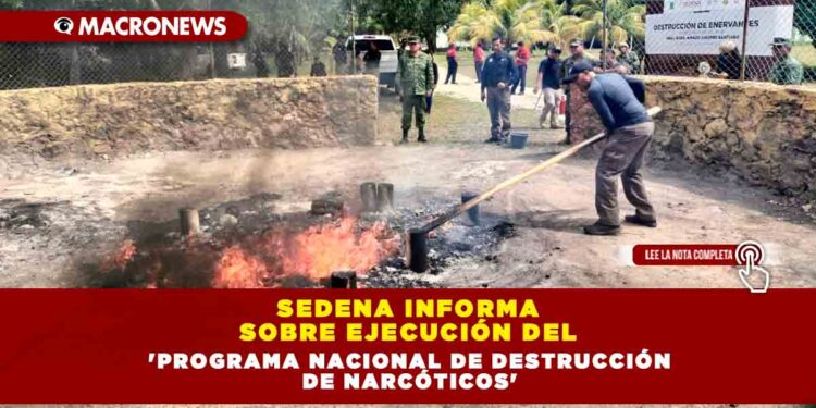 SEDENA Informa sobre Ejecución del ‘Programa Nacional de Destrucción de Narcóticos’