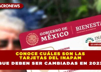 Conoce cuáles son las tarjetas del Inapam que deben ser cambiadas en 2023