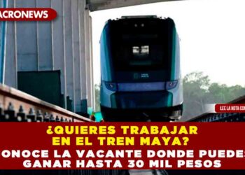 ¿Quieres trabajar en el Tren Maya? Conoce la vacante donde puedes ganar hasta 30 mil pesos