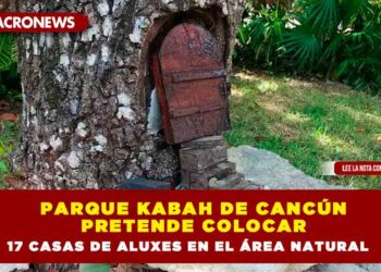 Parque Kabah de Cancún pretende colocar 17 casas de aluxes en el área natural