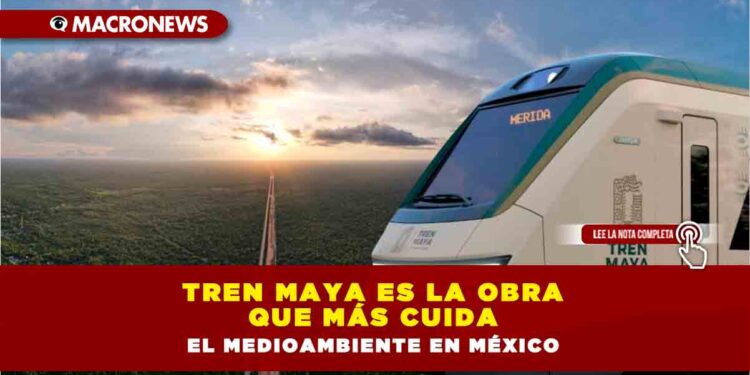 TREN MAYA ES LA OBRA QUE MÁS CUIDA EL MEDIOAMBIENTE EN MÉXICO