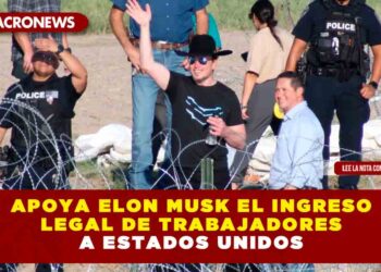 APOYA ELON MUSK EL INGRESO LEGAL DE TRABAJADORES A ESTADOS UNIDOS