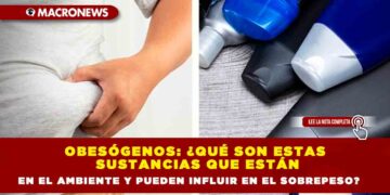 Obesógenos: ¿qué son estas sustancias que están en el ambiente y pueden influir en el sobrepeso?
