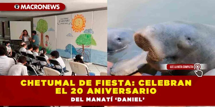 Chetumal de fiesta: celebran el 20 aniversario del Manatí ‘Daniel’