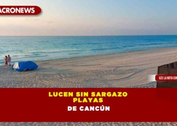 LUCEN SIN SARGAZO PLAYAS DE CANCÚN