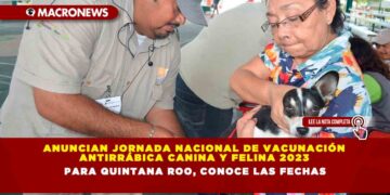 Anuncian Jornada Nacional de Vacunación Antirrábica Canina y Felina 2023 para Quintana Roo, Conoce las fechas