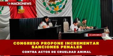 Congreso propone incrementar sanciones penales contra actos de crueldad animal