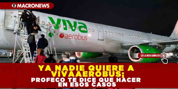 Ya nadie quiere a VivaAerobus; PROFECO te dice que hacer en esos casos
