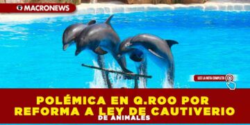 POLÉMICA EN Q.ROO POR REFORMA A LEY DE CAUTIVERIO DE ANIMALES