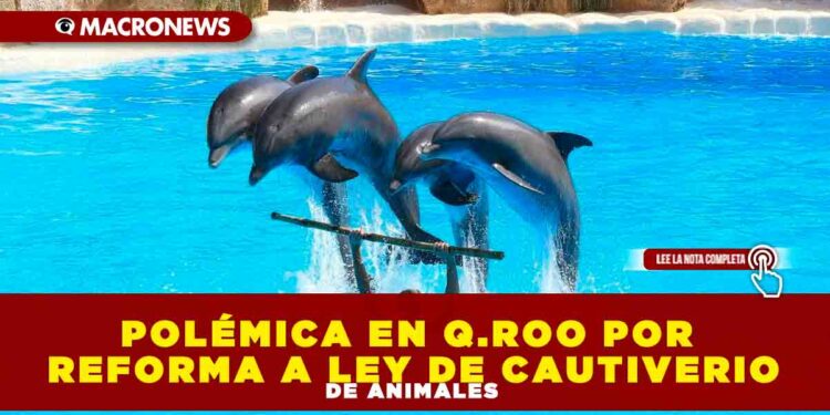POLÉMICA EN Q.ROO POR REFORMA A LEY DE CAUTIVERIO DE ANIMALES