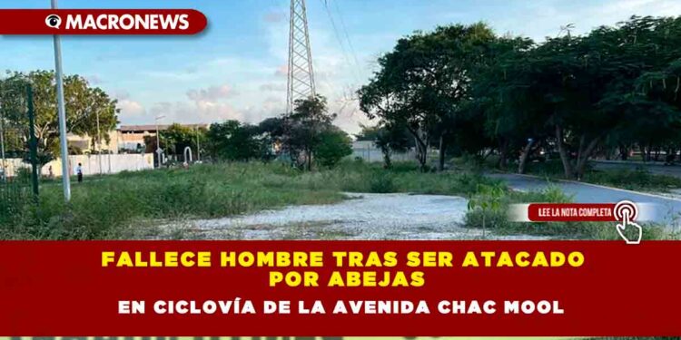 Fallece hombre tras ser atacado por abejas en ciclovía de la avenida Chac Mool