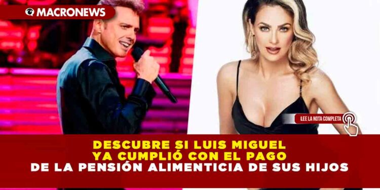Descubre si Luis Miguel ya cumplió con el pago de la pensión alimenticia de sus hijos