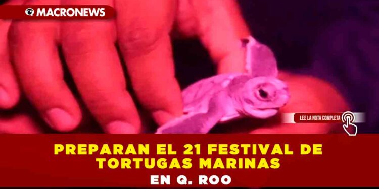 Preparan el 21 festival de tortugas marinas en Q. Roo