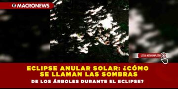 Eclipse Anular Solar: ¿Cómo se llaman las sombras de los árboles durante el eclipse?