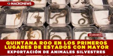 QUINTANA ROO EN LOS PRIMEROS LUGARES DE ESTADOS CON MAYOR EXPORTACIÓN DE ANIMALES SILVESTRES