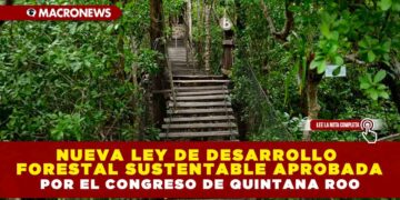 NUEVA LEY DE DESARROLLO FORESTAL SUSTENTABLE APROBADA POR EL CONGRESO DE QUINTANA ROO