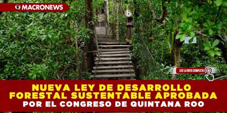 NUEVA LEY DE DESARROLLO FORESTAL SUSTENTABLE APROBADA POR EL CONGRESO DE QUINTANA ROO